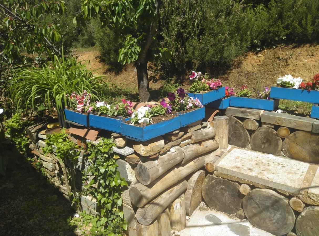 Casa Rural El Arroyo Sotoserrano エクステリア 写真