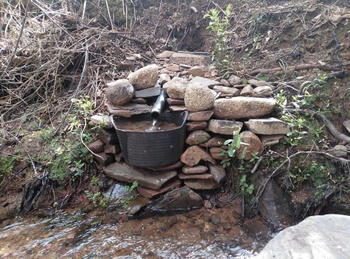 Casa Rural El Arroyo Sotoserrano エクステリア 写真