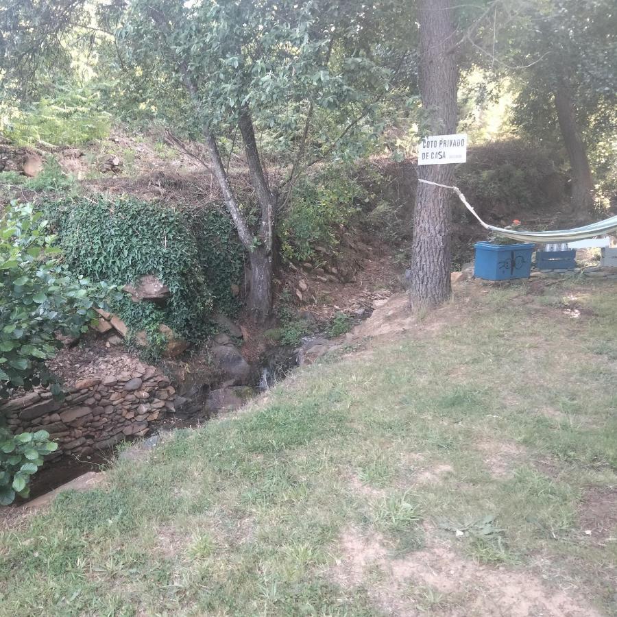 Casa Rural El Arroyo Sotoserrano エクステリア 写真