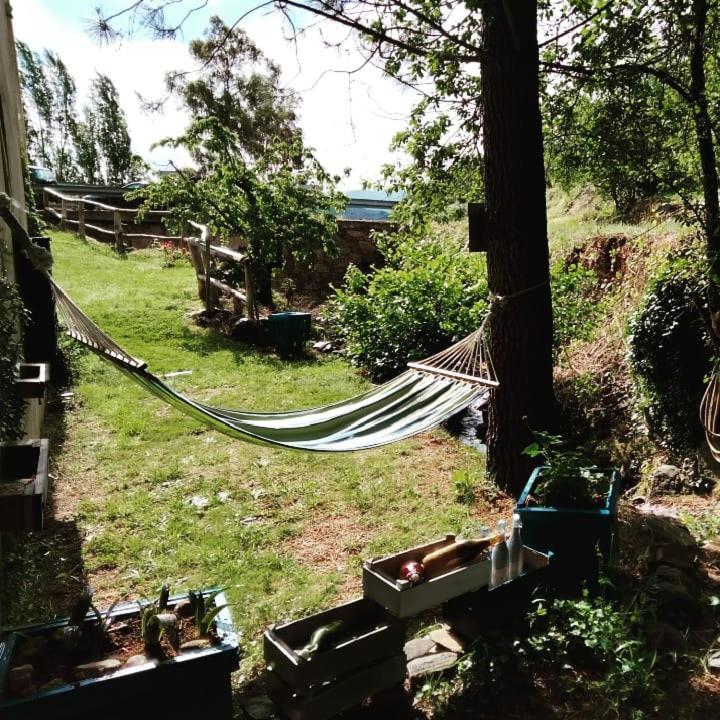 Casa Rural El Arroyo Sotoserrano エクステリア 写真