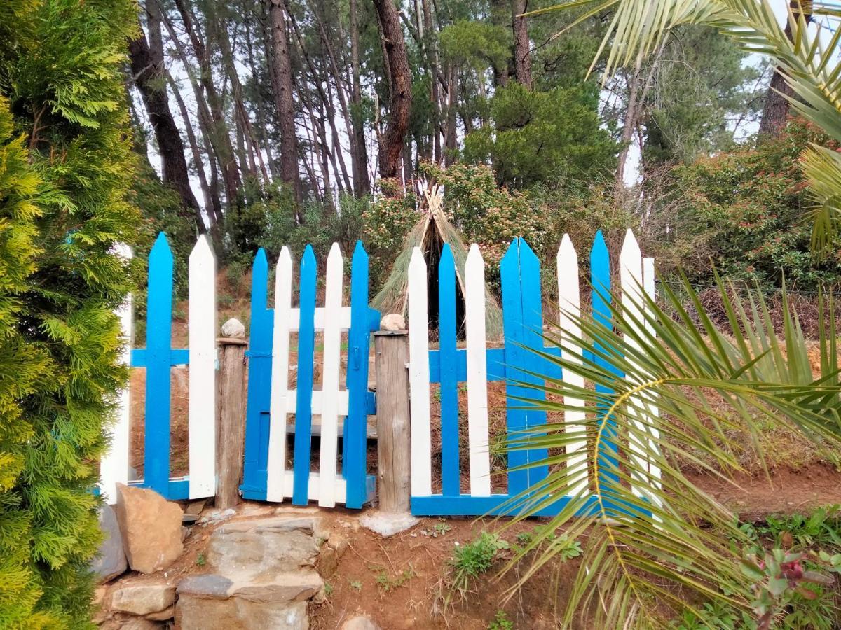 Casa Rural El Arroyo Sotoserrano エクステリア 写真
