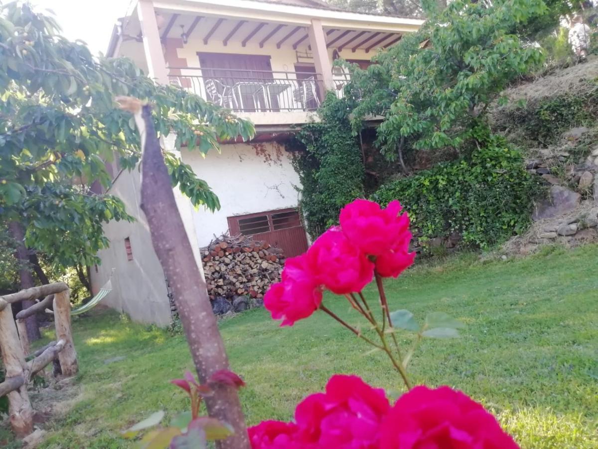 Casa Rural El Arroyo Sotoserrano エクステリア 写真